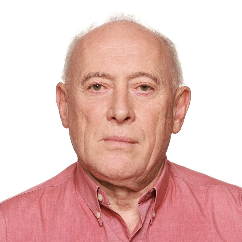 resized pascal papillon